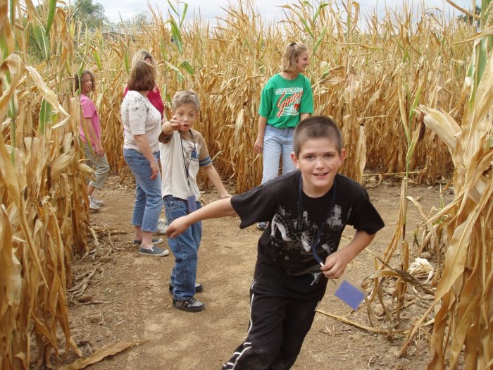 005cornmaze.jpg