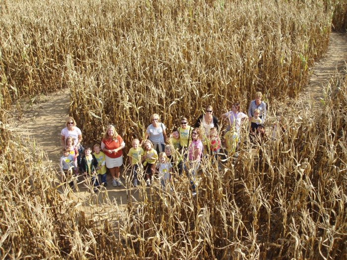 008cornmaze.jpg