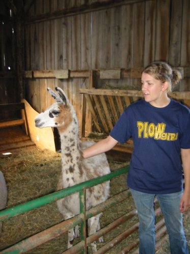 014pettingzoo.jpg