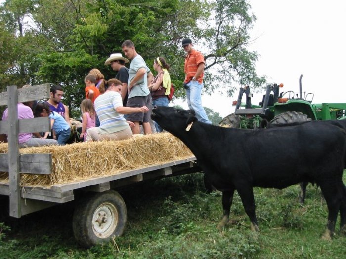 033hayrides.jpg