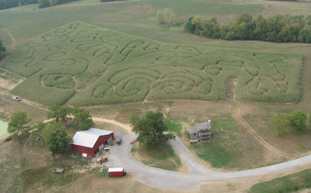 2007 Union KY Corn Maze