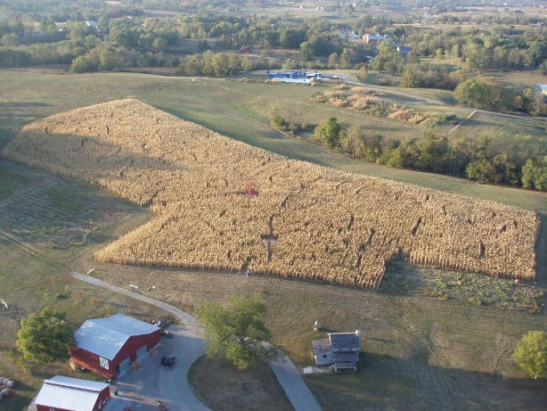 2010 Union KY Corn Maze