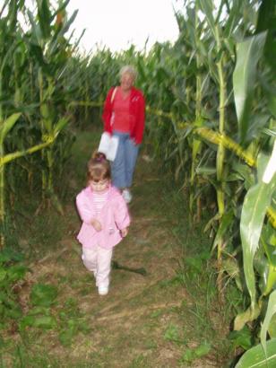 A trip through the maze