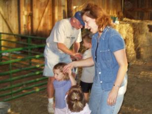 Looking at the animals
